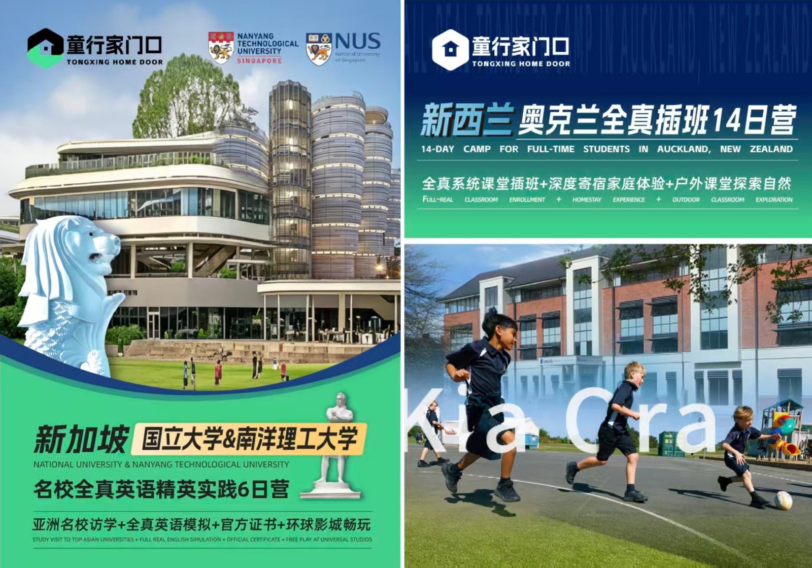 国际研学两条线路：新加坡国立大学&南洋理工大学名校全真英语精英实践 6 日营；新西兰奥克兰全真插班 14 日营